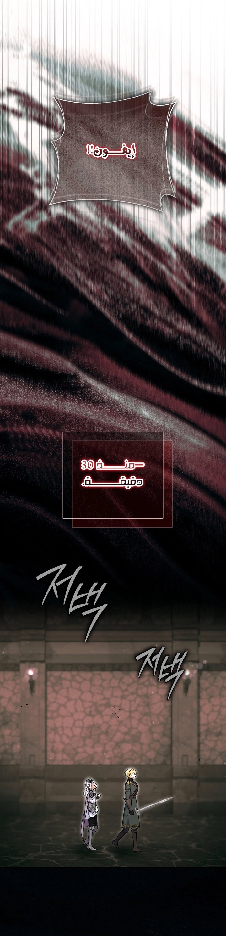 الصفحة 29