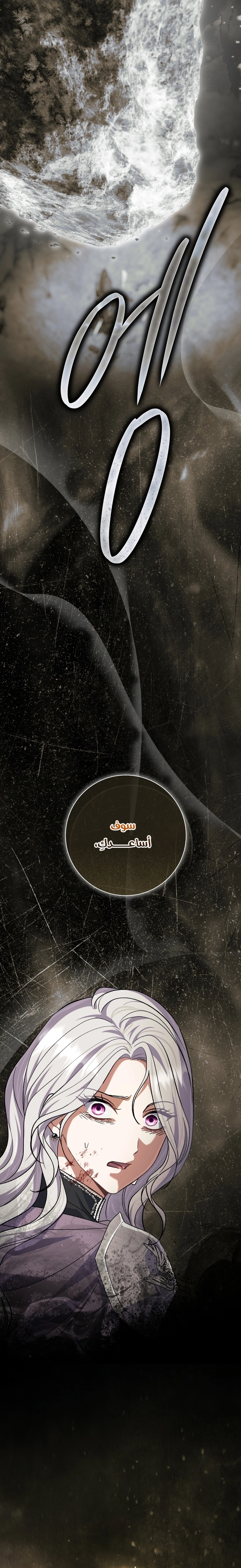 الصفحة 29