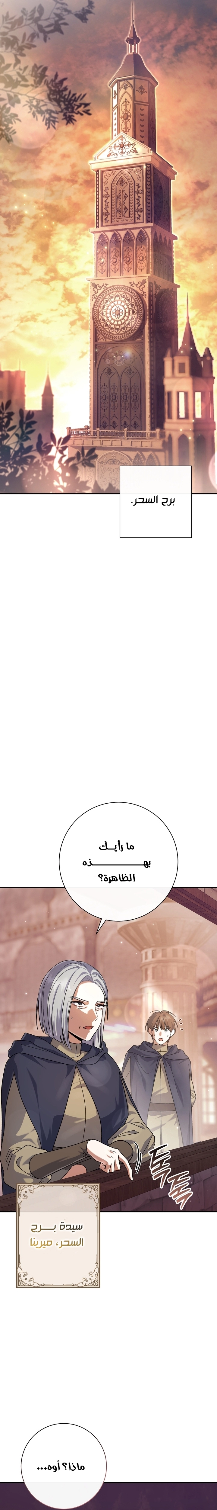 الصفحة 31