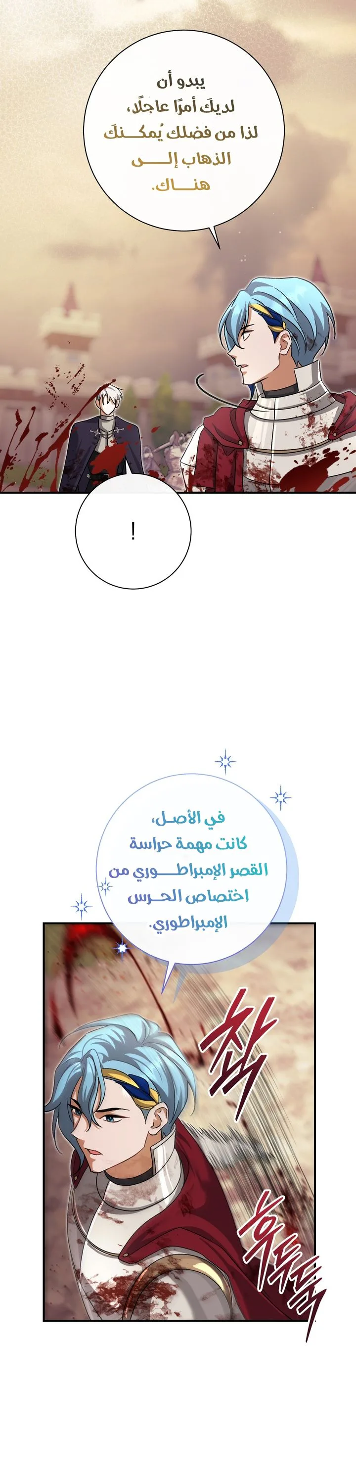 الصفحة 17