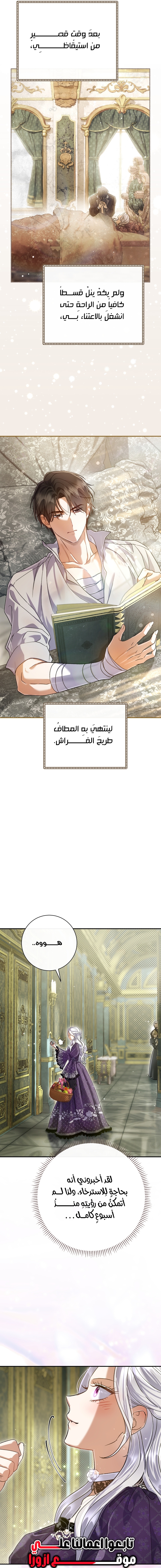 الصفحة 24