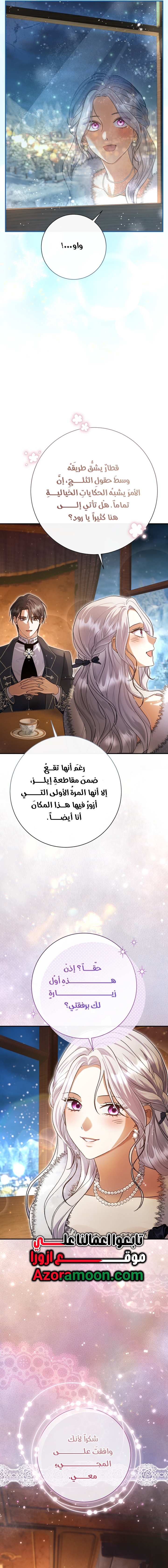 الصفحة 17