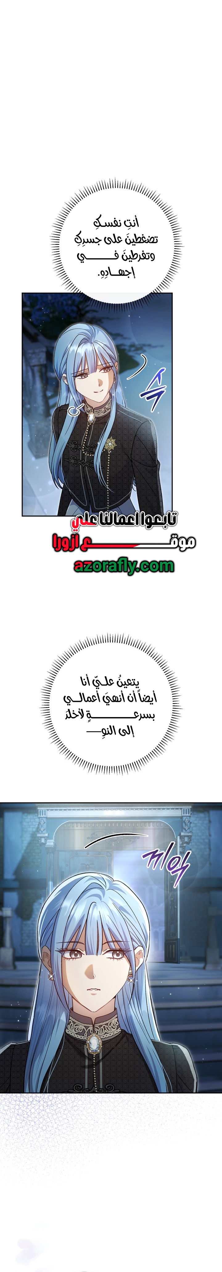 الصفحة 17