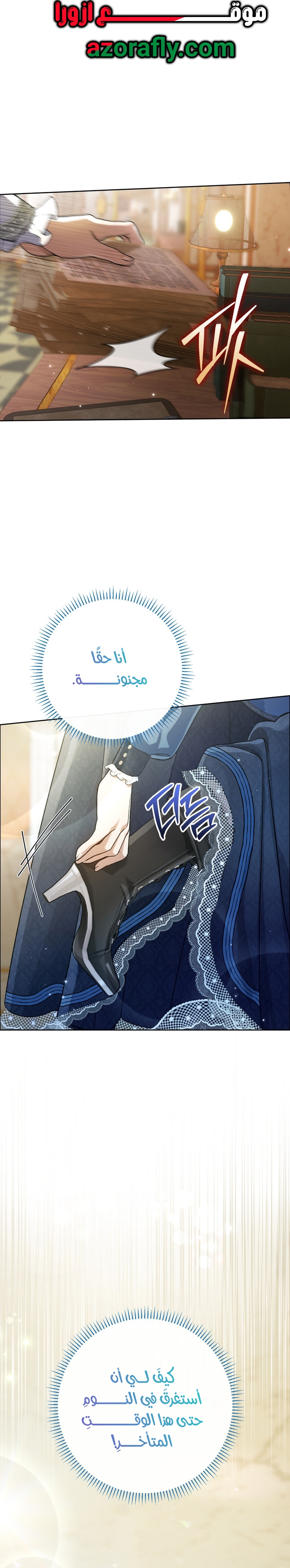 الصفحة 13
