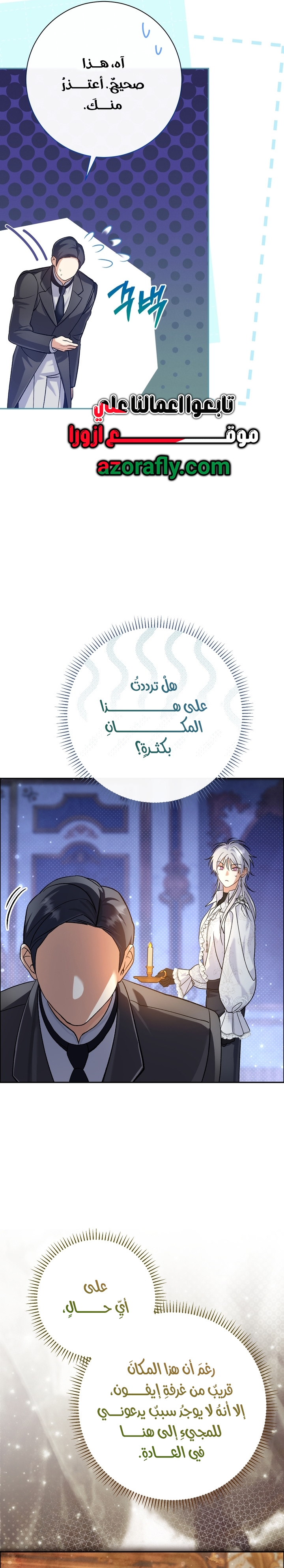الصفحة 29