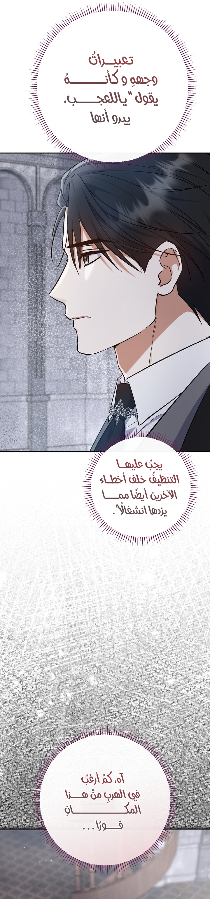 الصفحة 24