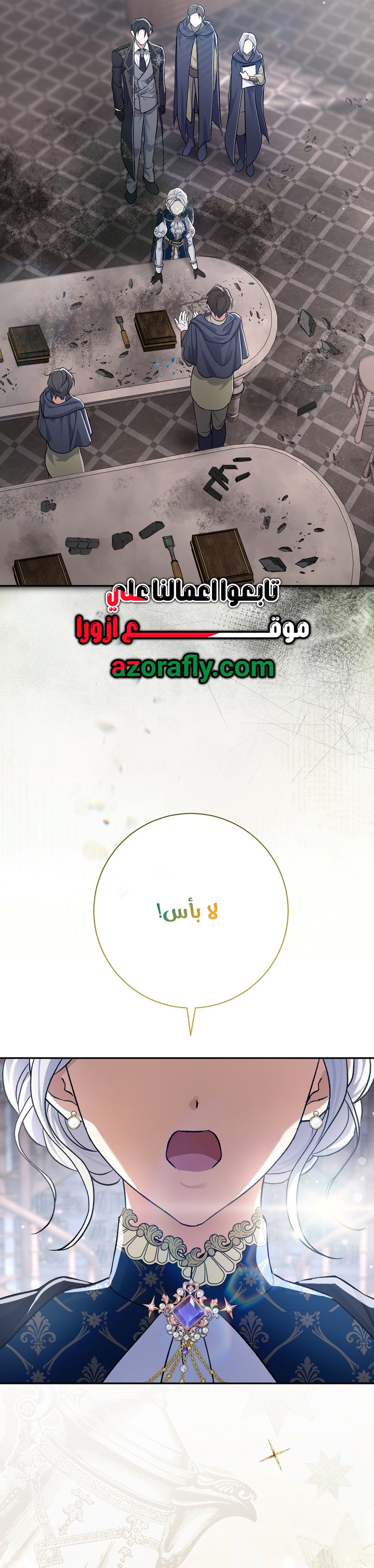 الصفحة 25
