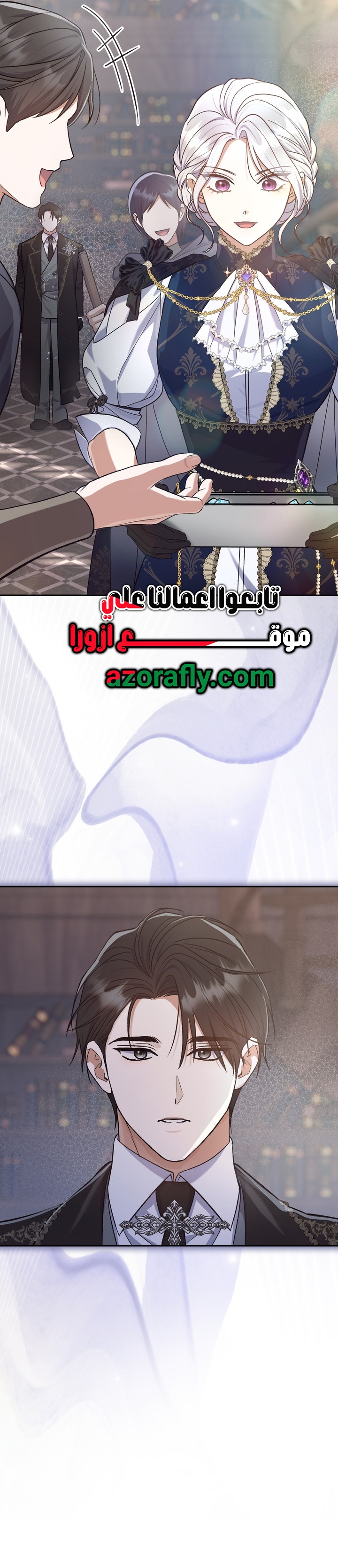 الصفحة 29