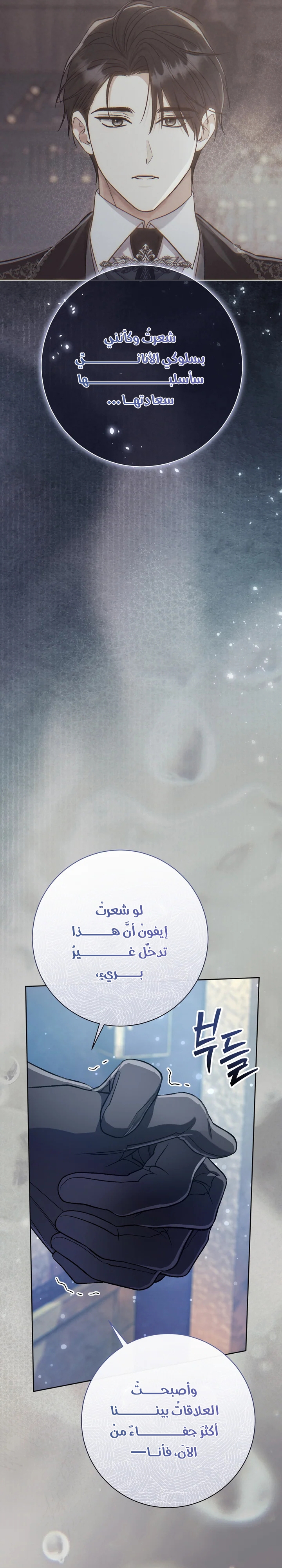 الصفحة 25