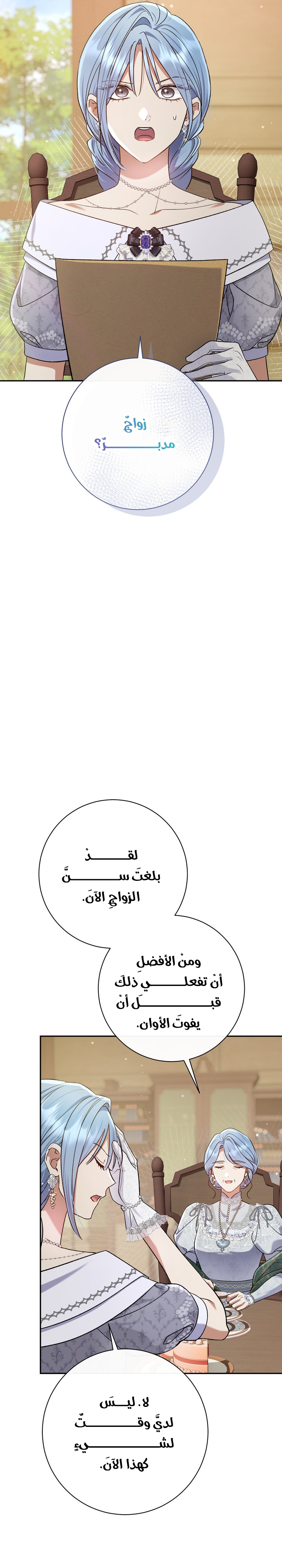 الصفحة 11