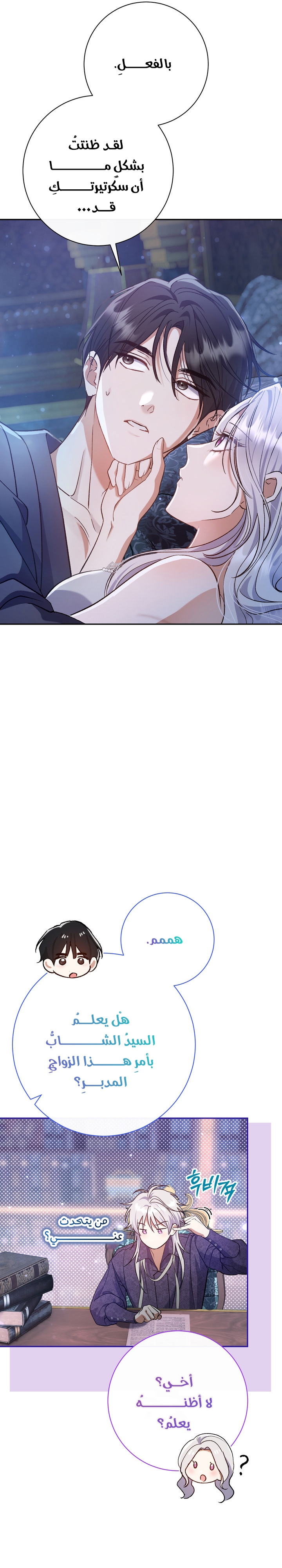 الصفحة 33
