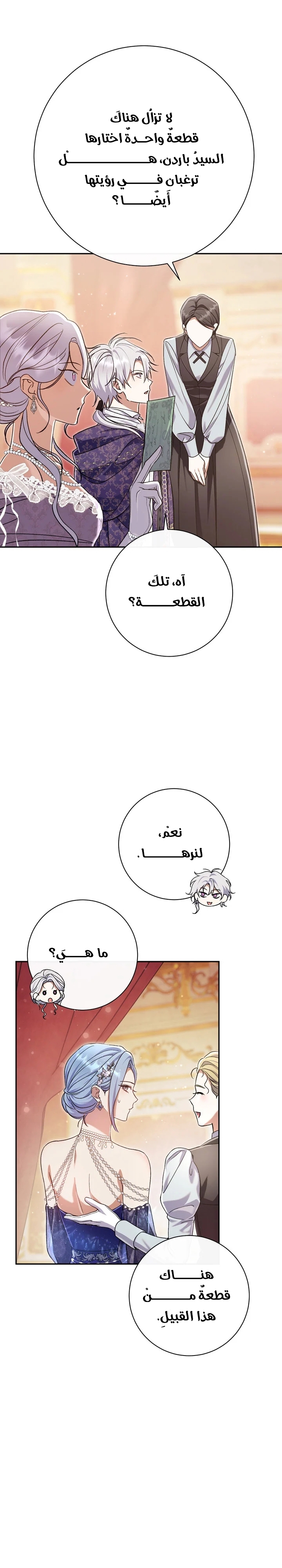 الصفحة 26