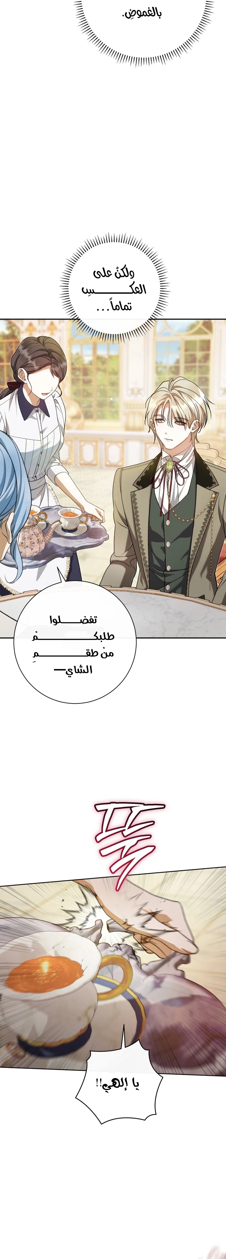 الصفحة 13
