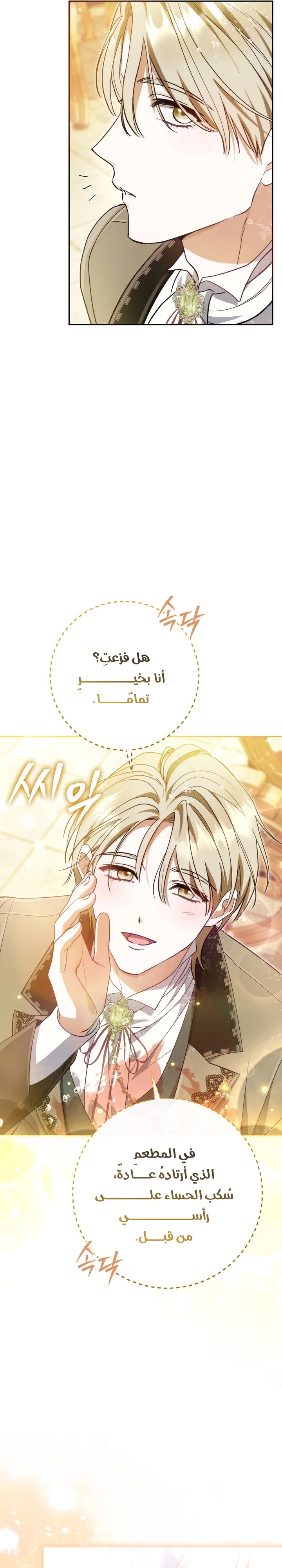 الصفحة 19