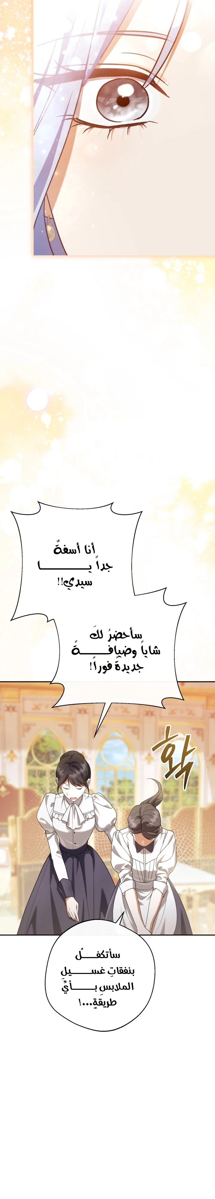 الصفحة 20