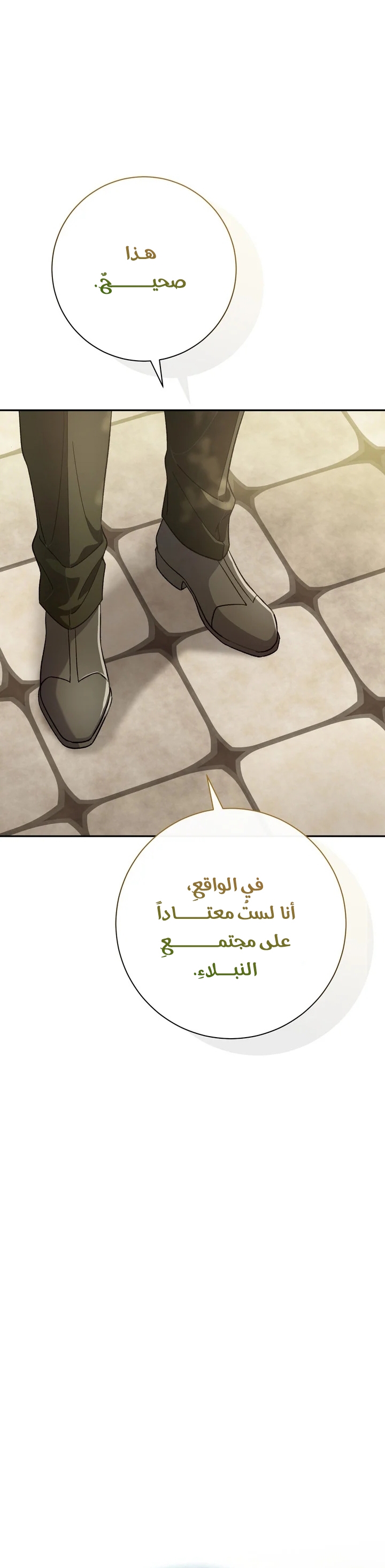 الصفحة 29