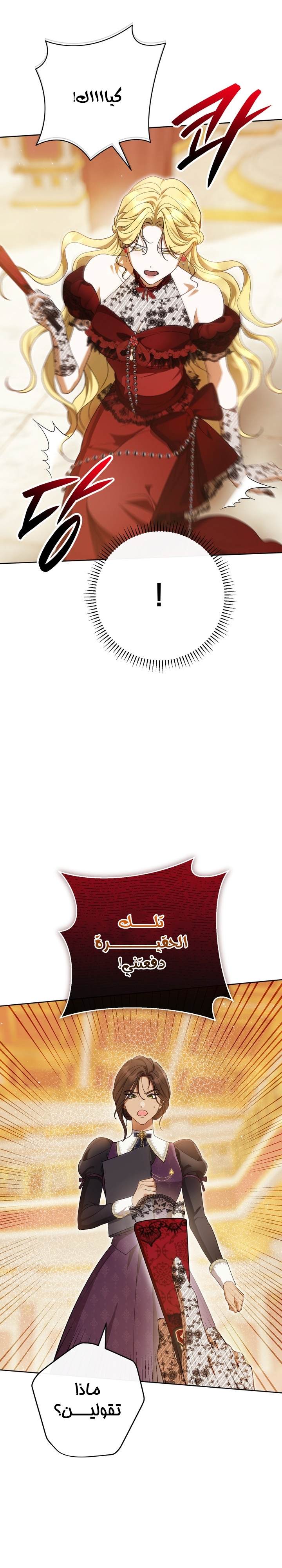 الصفحة 29