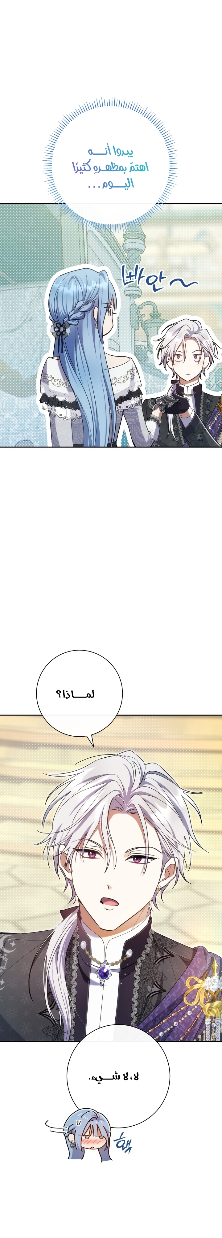 الصفحة 29