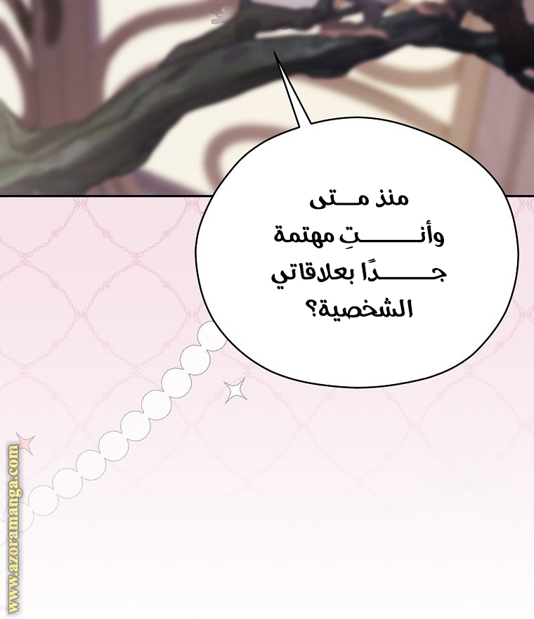 الصفحة 27