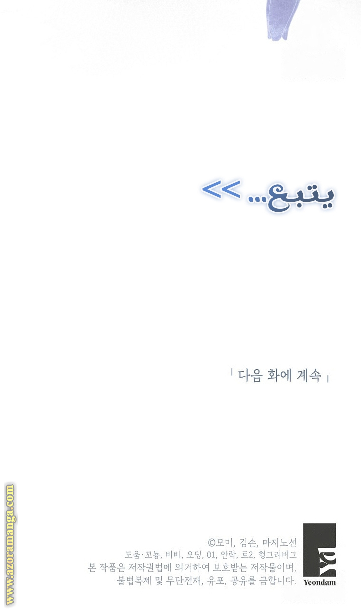الصفحة 41