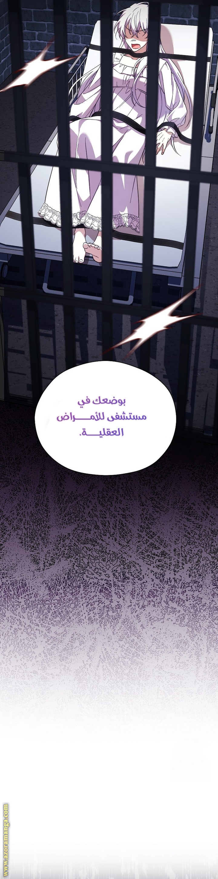 الصفحة 17