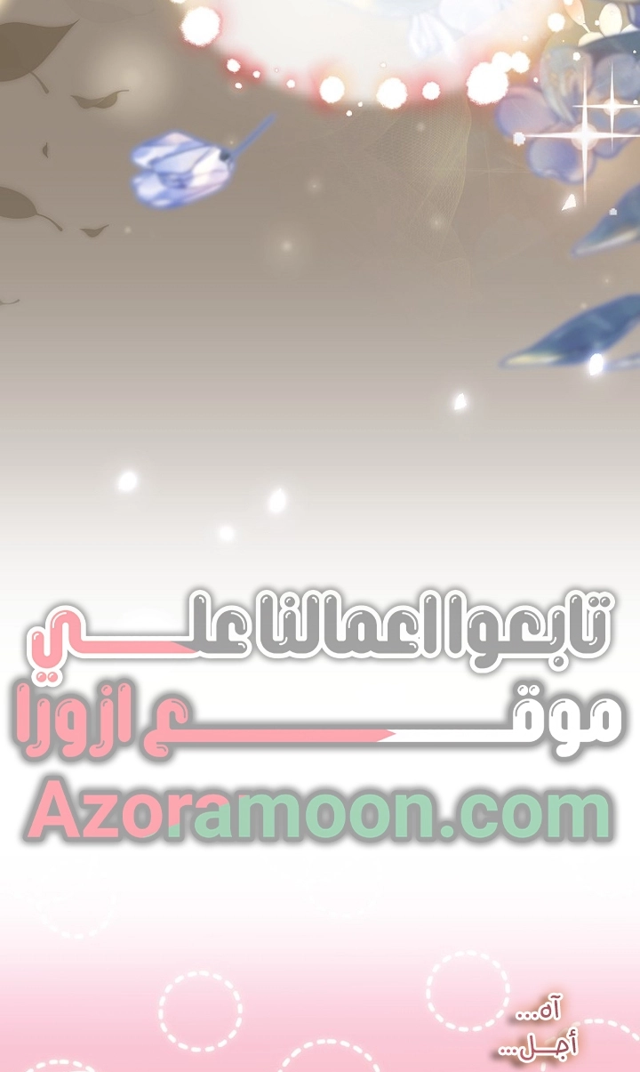 الصفحة 25