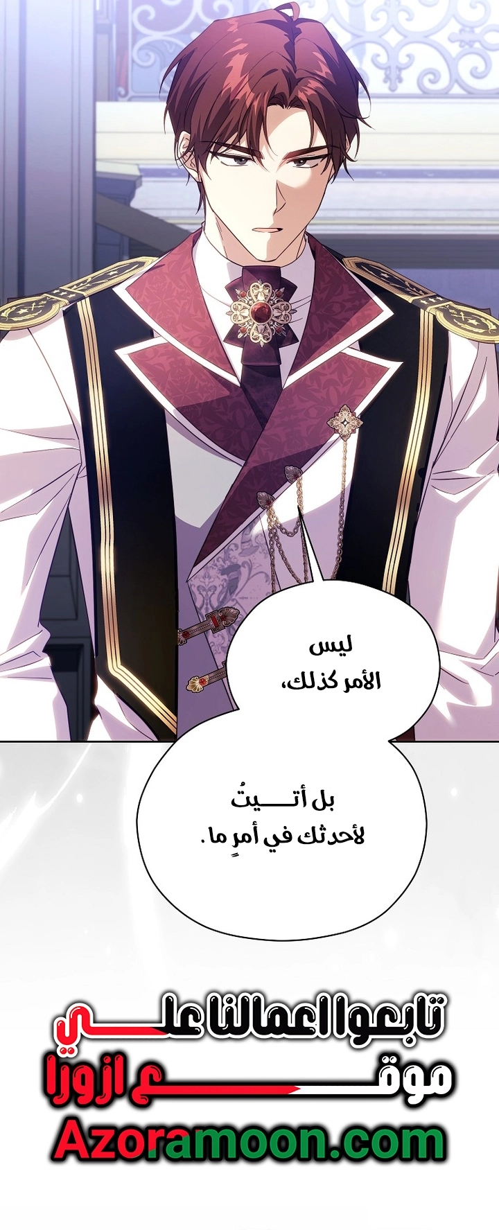 الصفحة 29