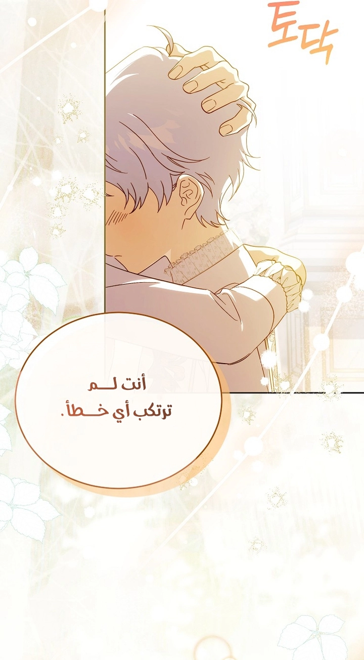 الصفحة 24