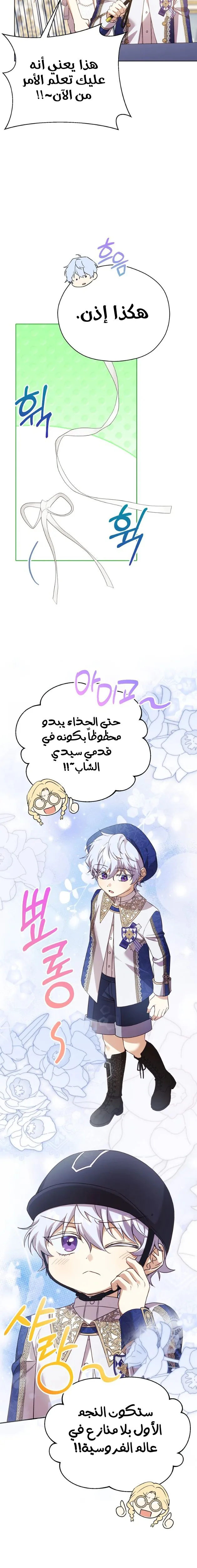 الصفحة 17