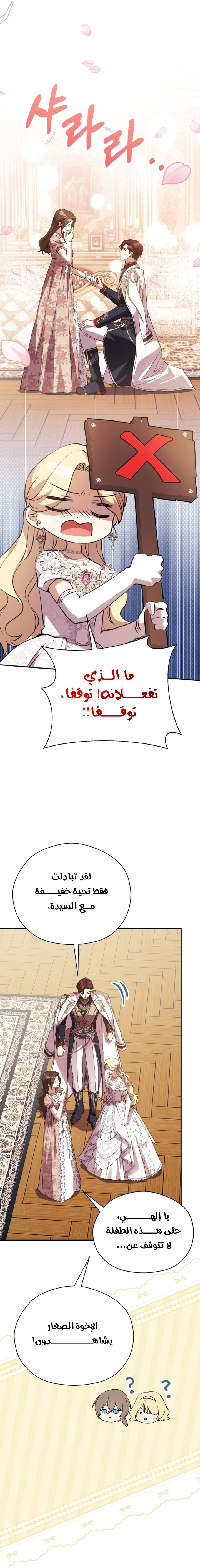 الصفحة 17