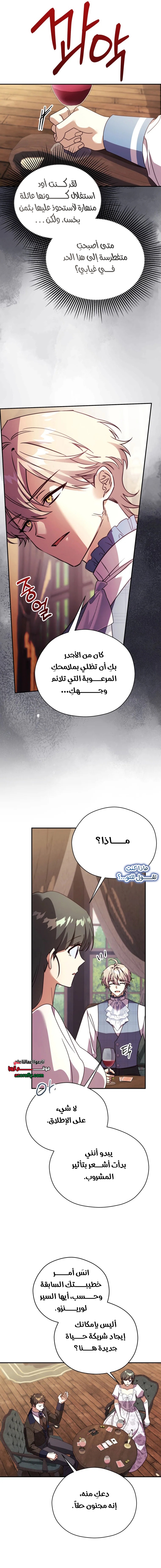 الصفحة 13