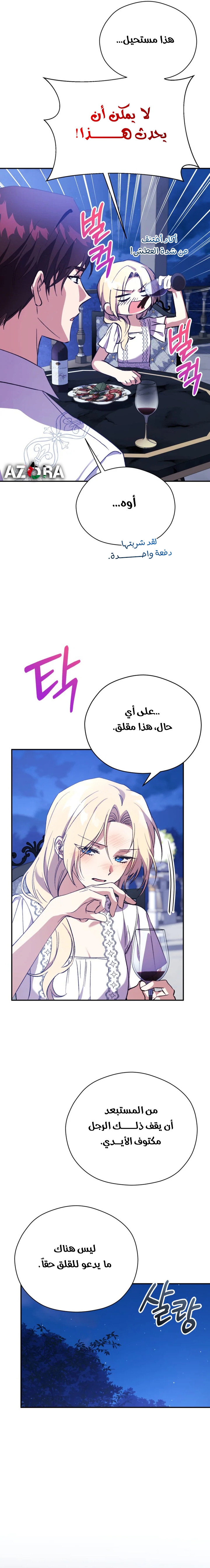 الصفحة 13