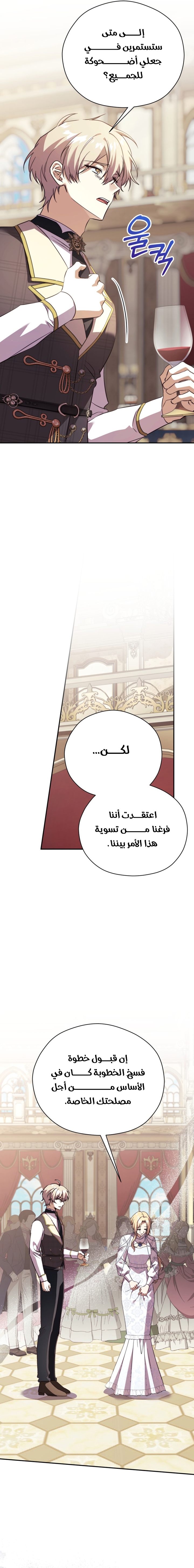 الصفحة 13