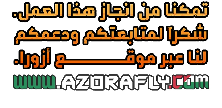 الصفحة 17
