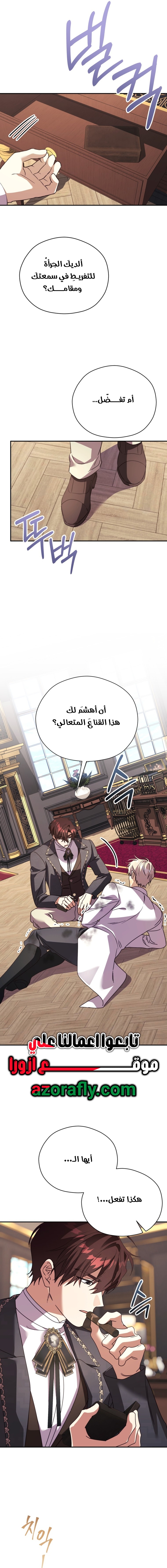 الصفحة 13