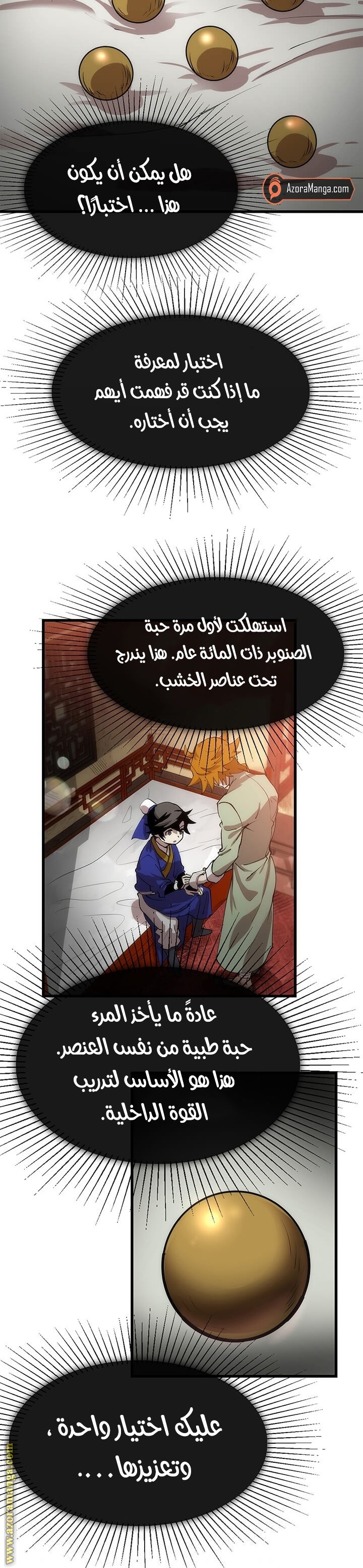 الصفحة 25