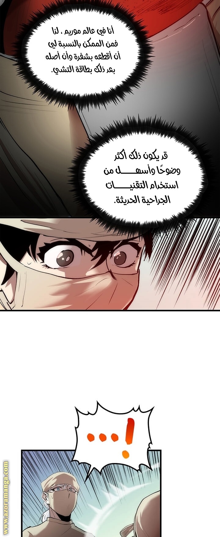 الصفحة 13
