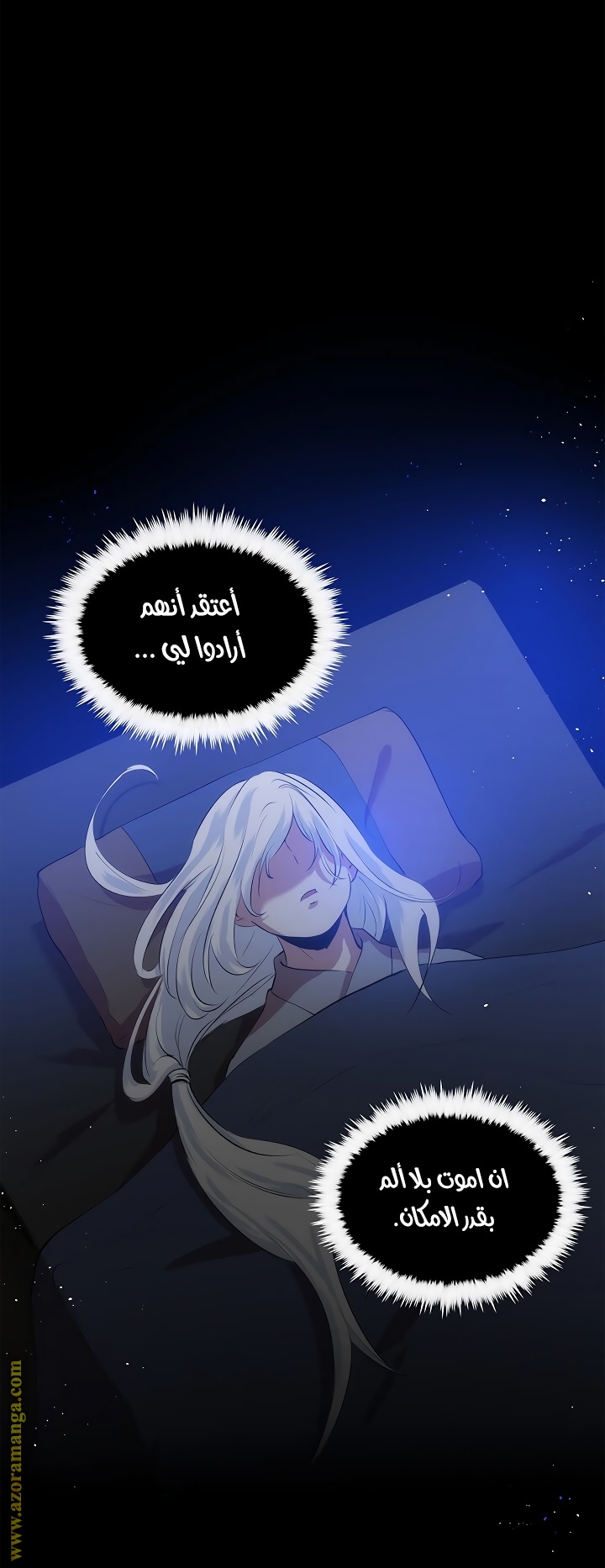 الصفحة 11