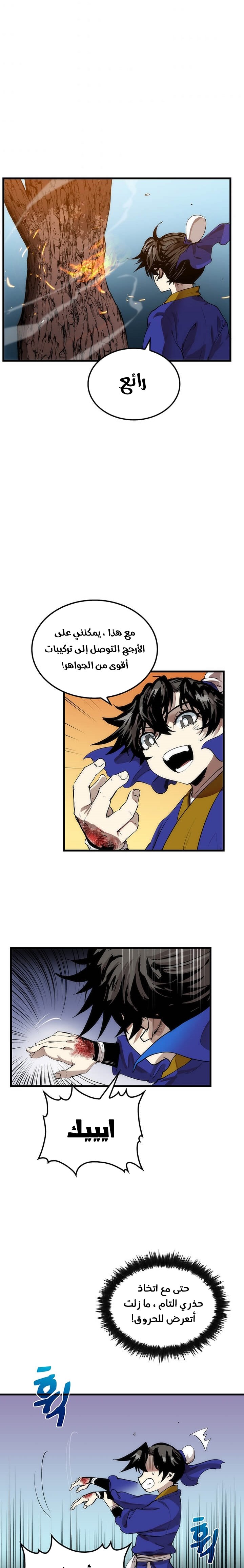 الصفحة 13