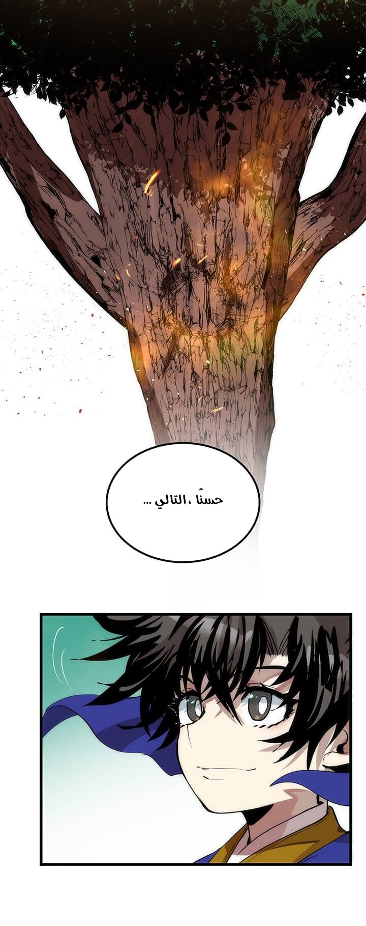 الصفحة 17