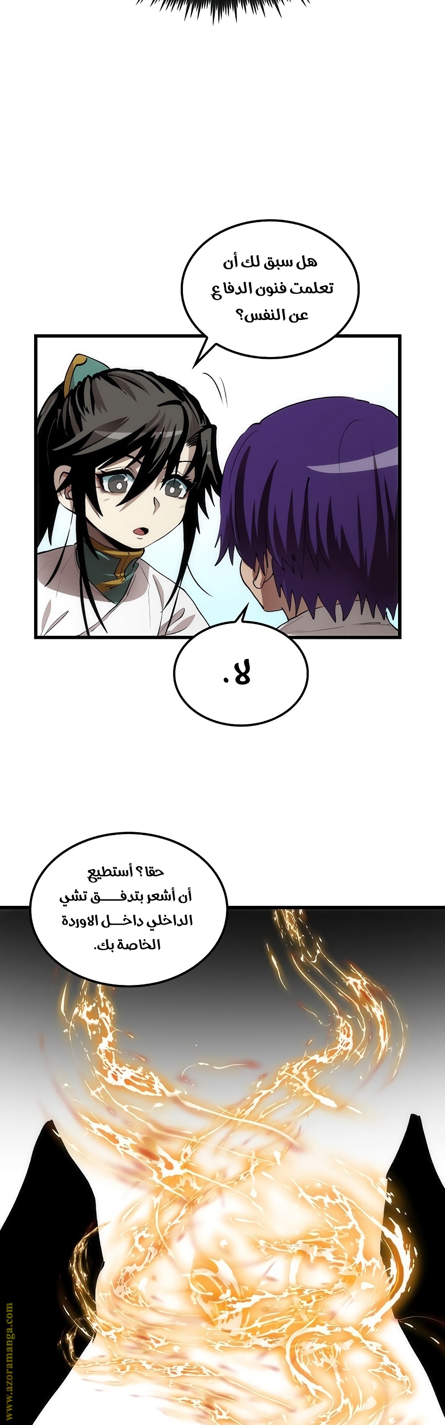 الصفحة 29