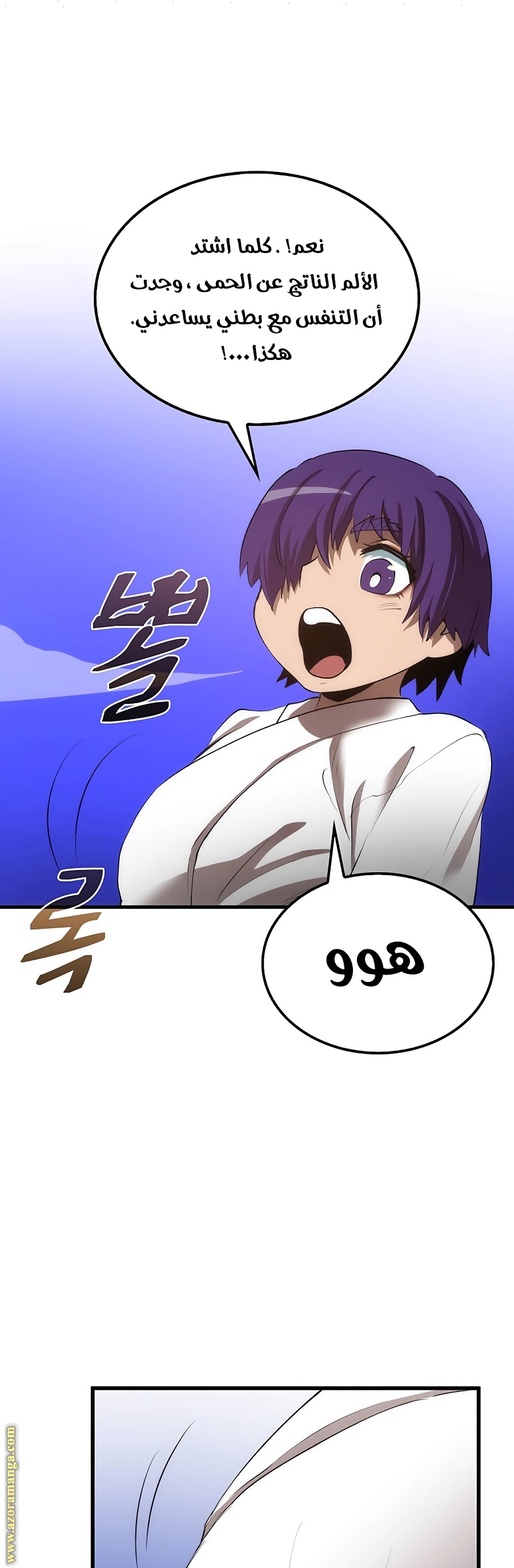 الصفحة 31