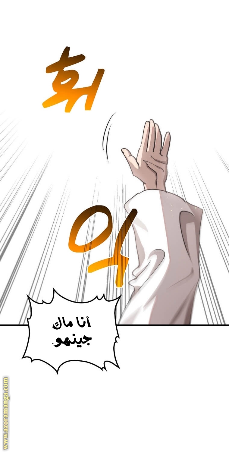 الصفحة 46
