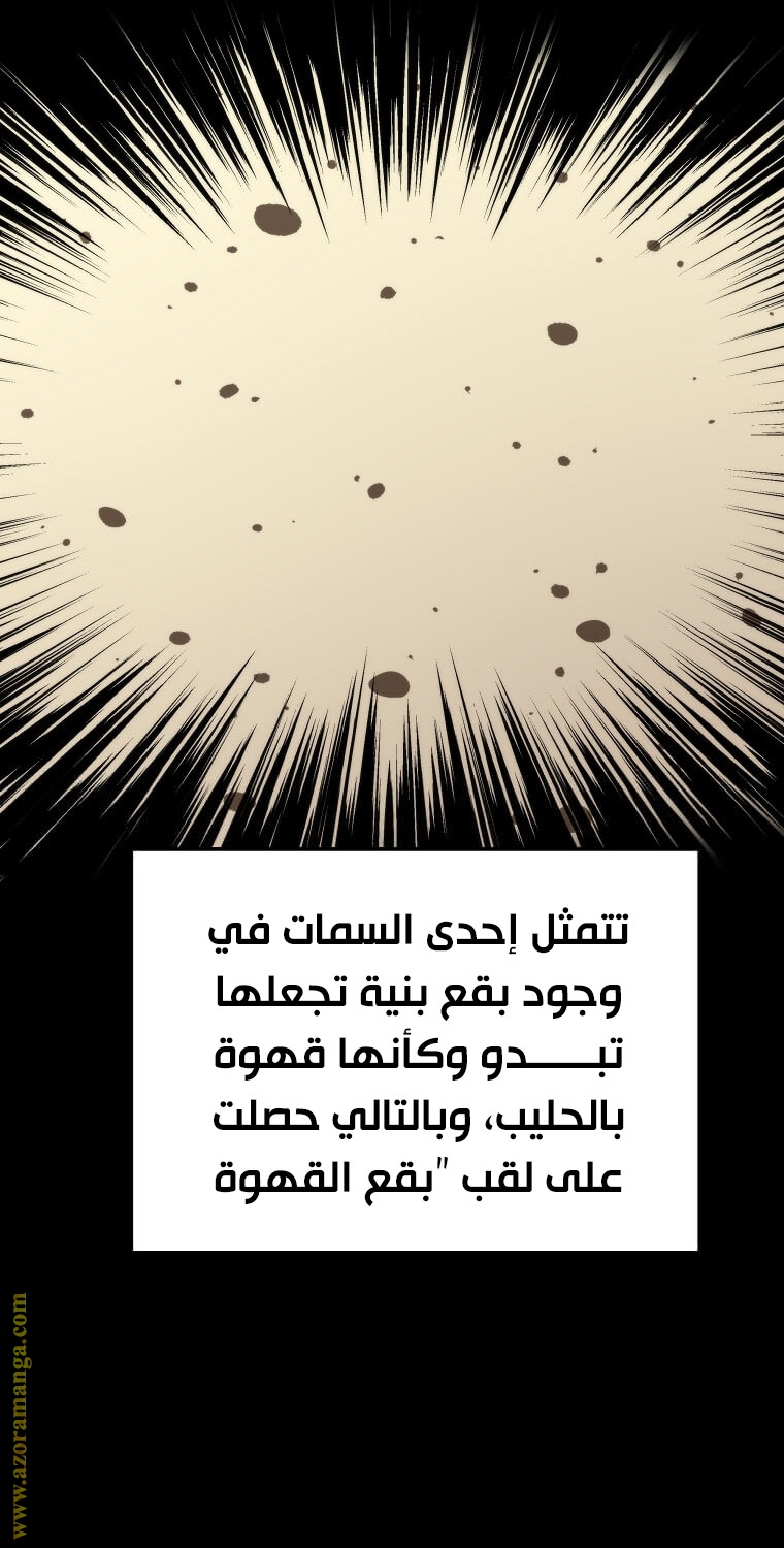 الصفحة 2