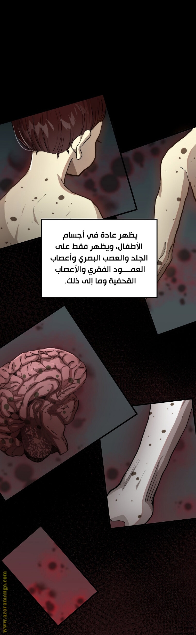 الصفحة 3