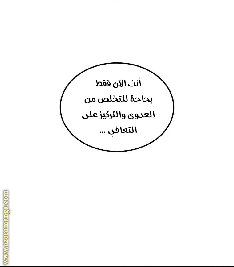 الصفحة 52