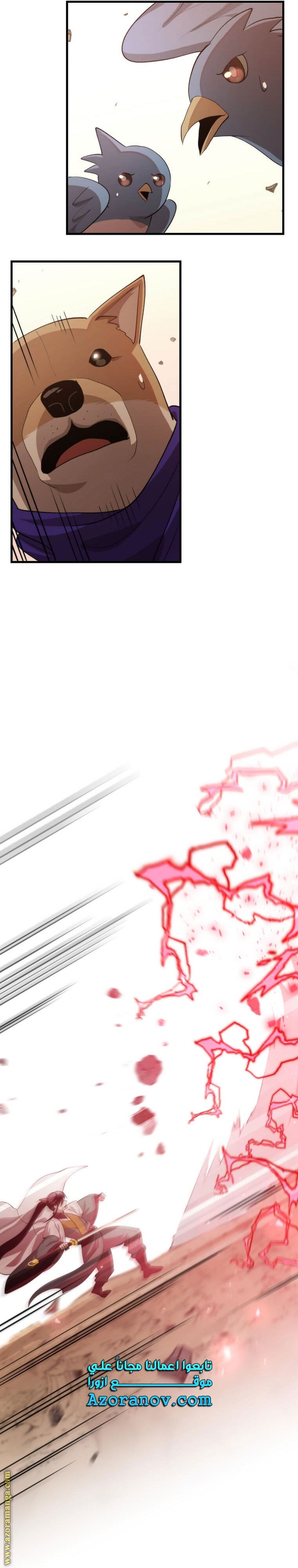 الصفحة 17