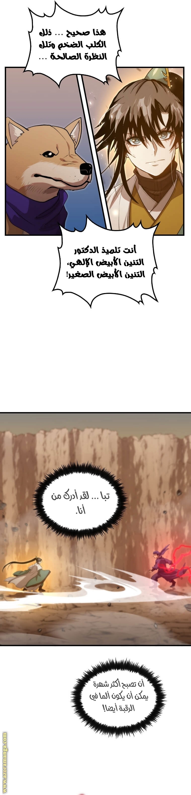 الصفحة 29