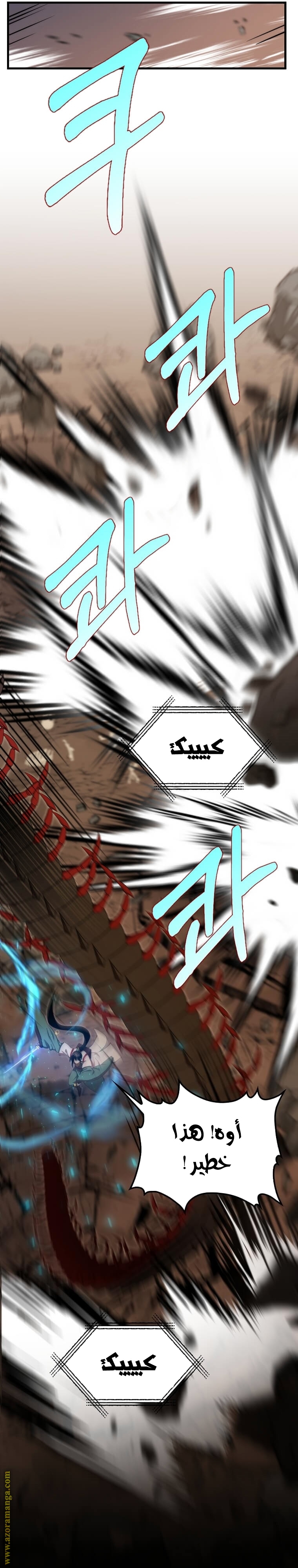 الصفحة 17
