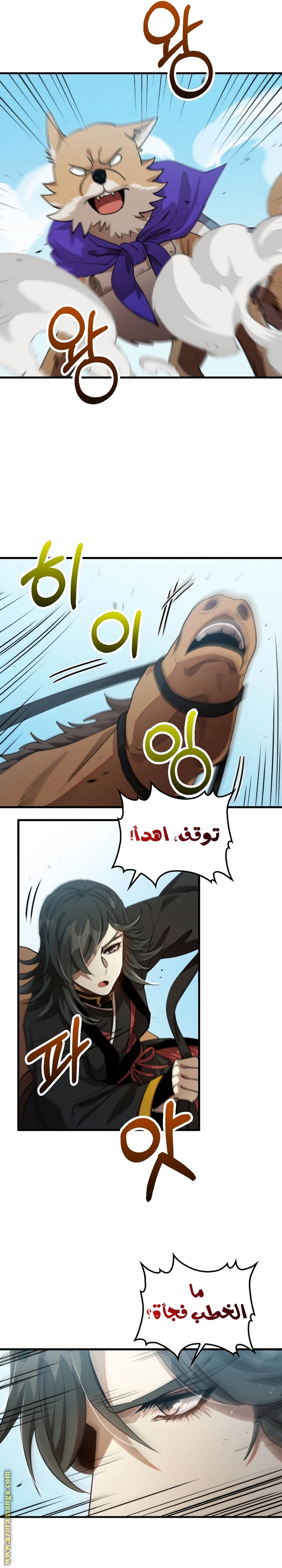 الصفحة 17